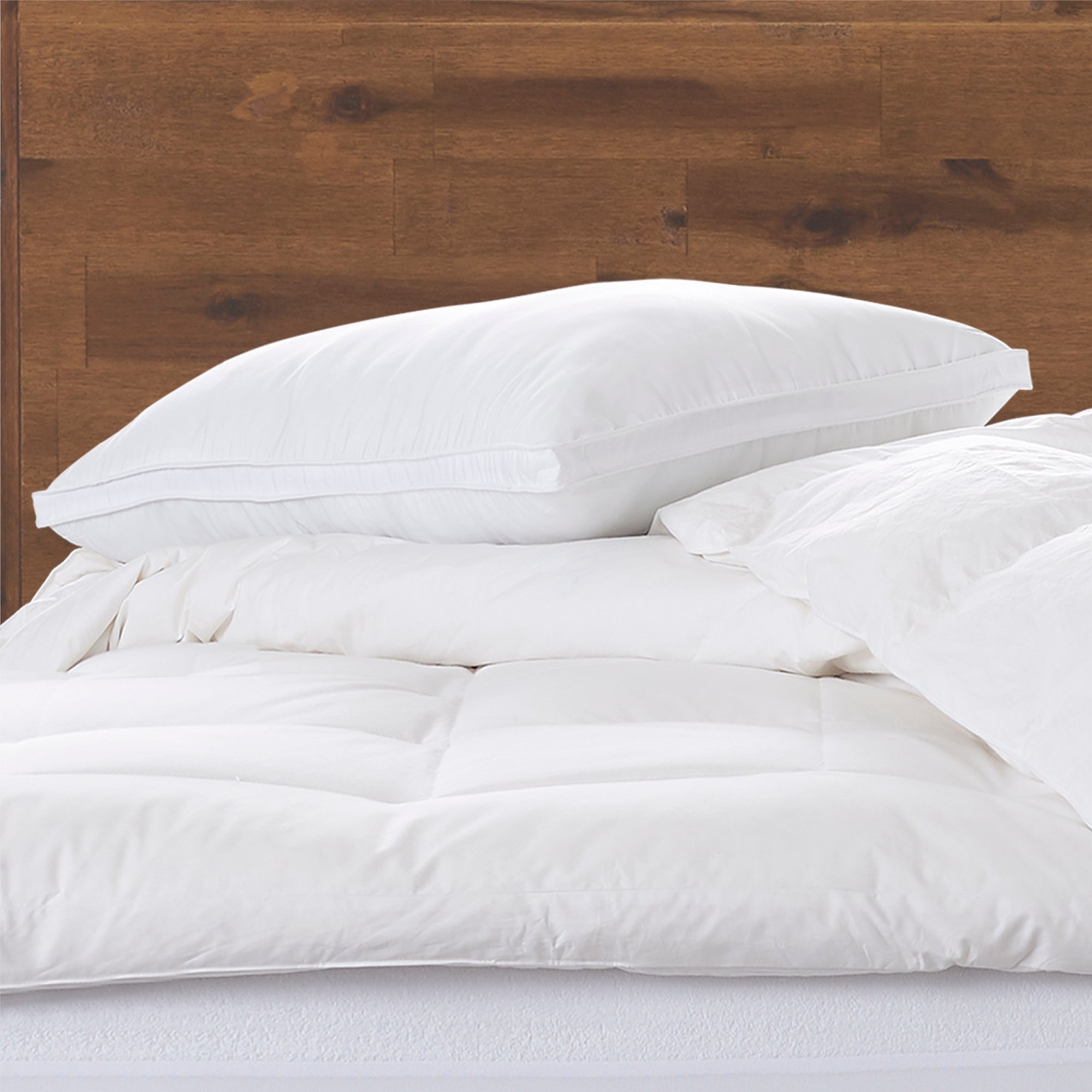 MEMORY FIBER Pillow 100% Cotton Luxurious Mesh Gusseted Shell All Sleeper Pillow