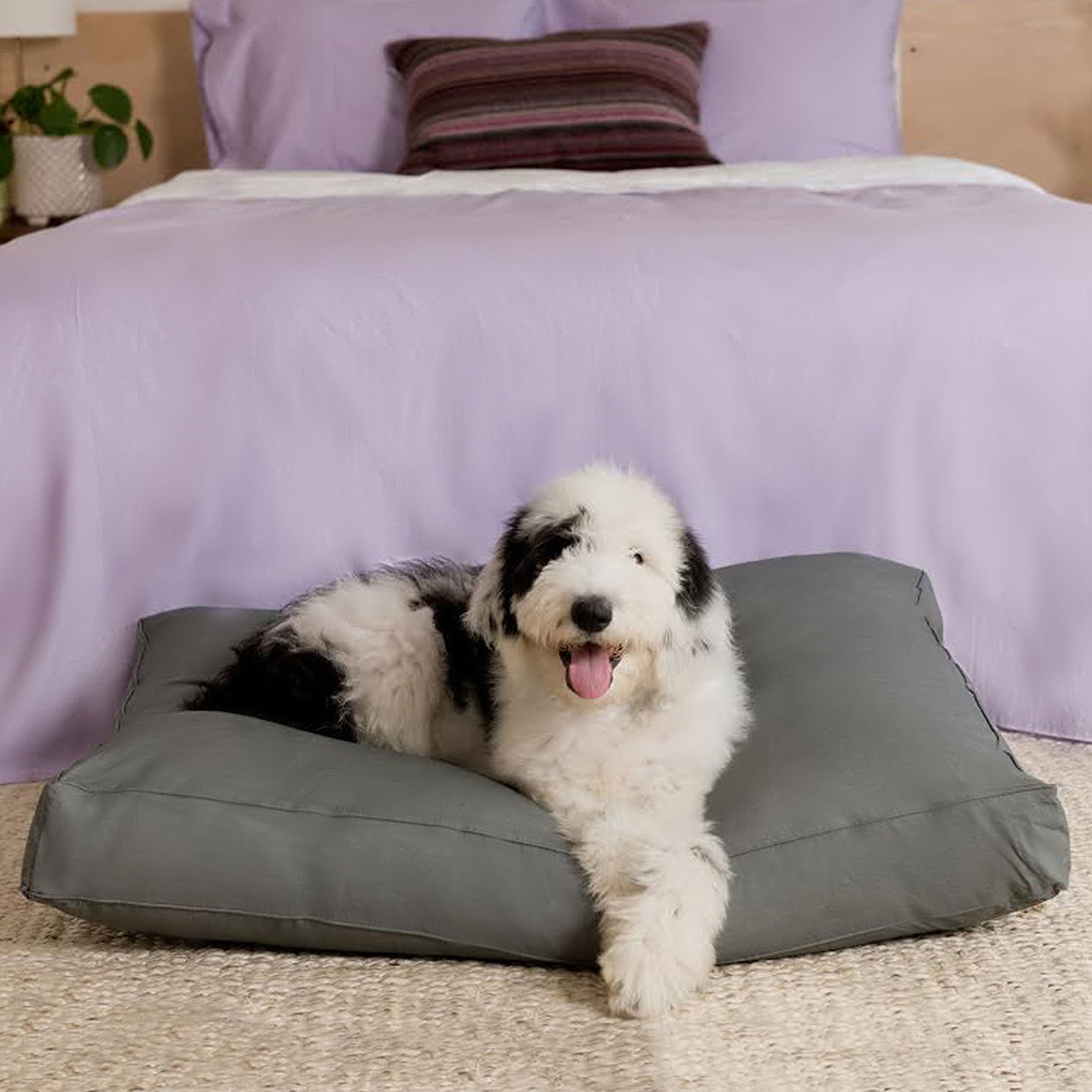 Ella Jayne Gusseted Waterproof Pet Bed with Removable Cotton Cover