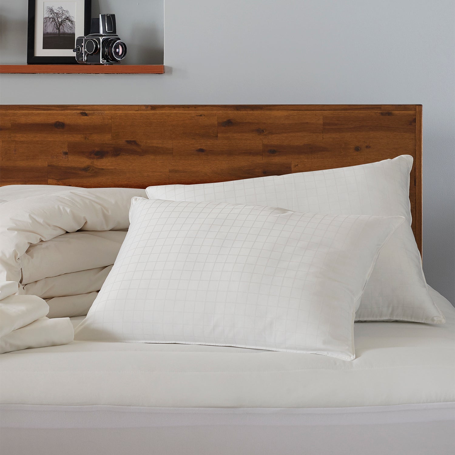 Pillow / Pack Size-2 Pack