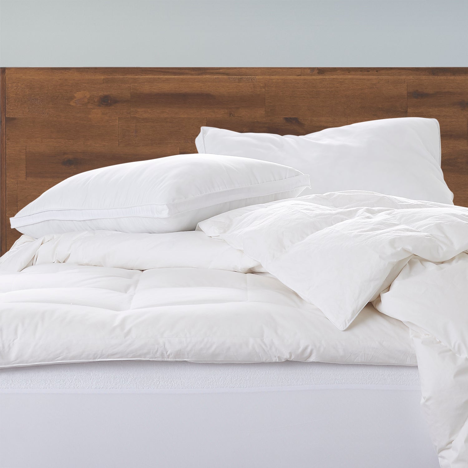 Pillow / Pack Size-2 Pack