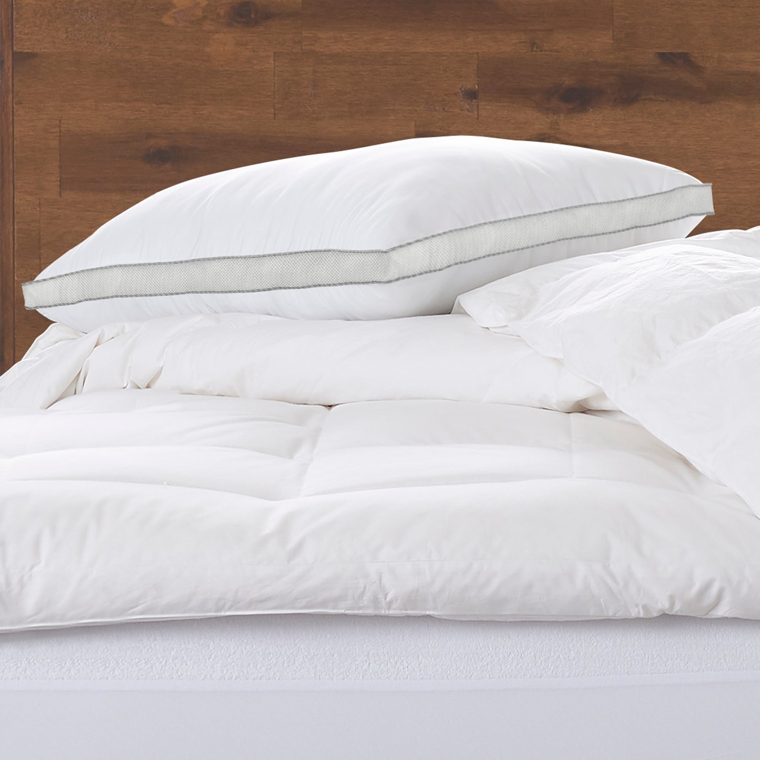MEMORY FIBER Pillow 100% Cotton Luxurious Mesh Gusseted Shell All Sleeper Pillow